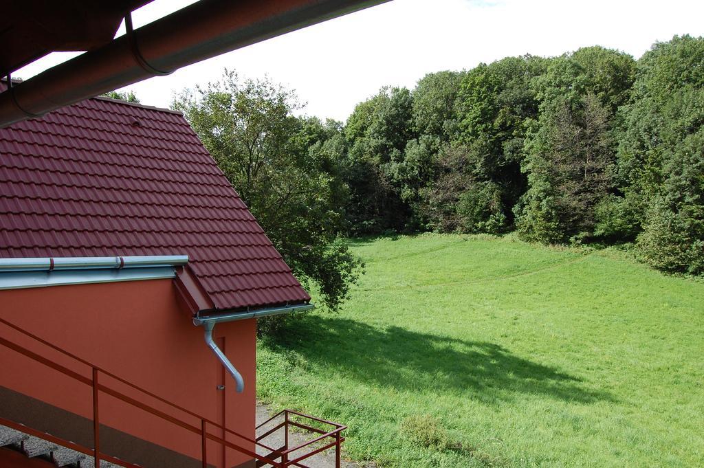 Penzion U Mustku Jiriho Rasky Trojanovice Room photo